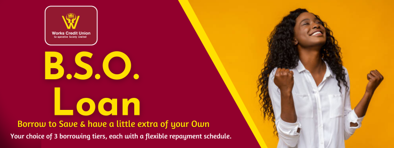 BSO Loan BannerHeader -Woman.png